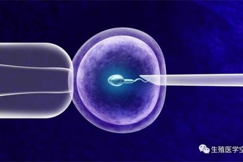 女人保定代生孩子的最佳年龄段 一辈子生几个孩子最好